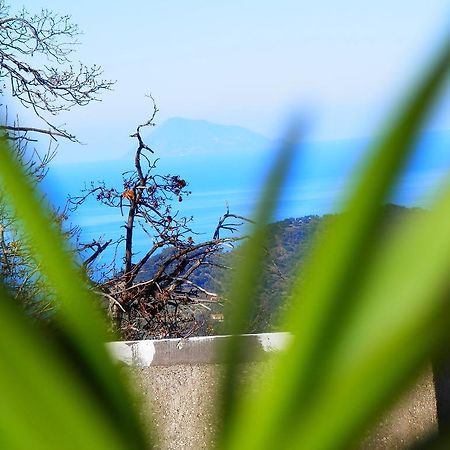 Al Fakhar Bed and Breakfast Ficarra Buitenkant foto