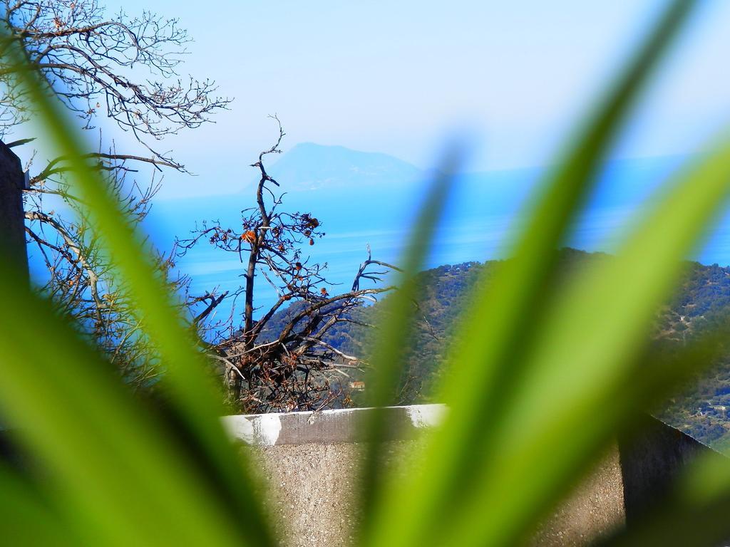 Al Fakhar Bed and Breakfast Ficarra Buitenkant foto